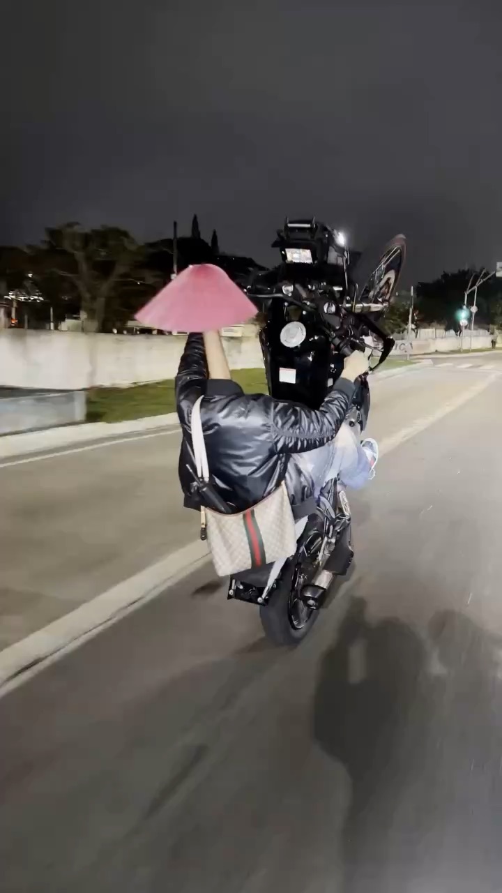 pink lee motor