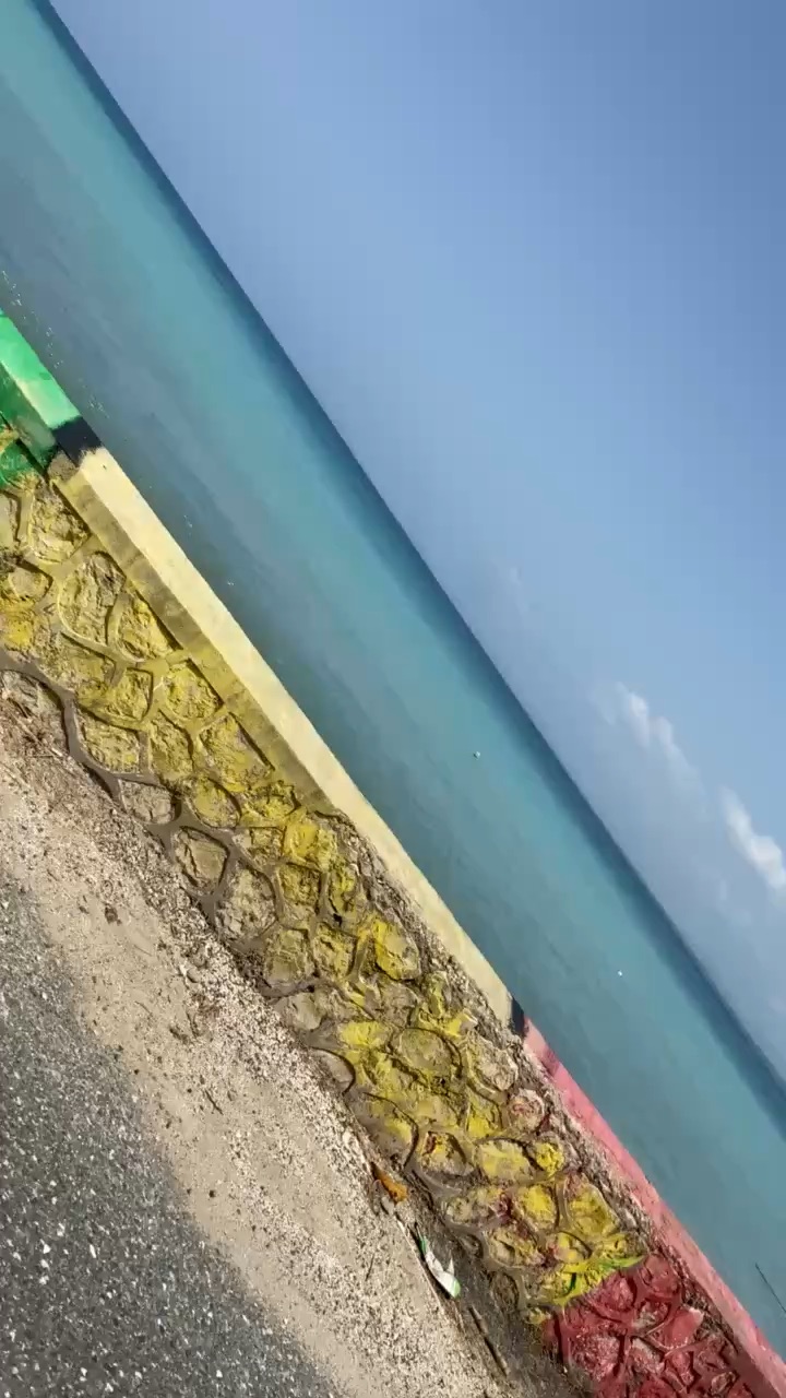 Trip