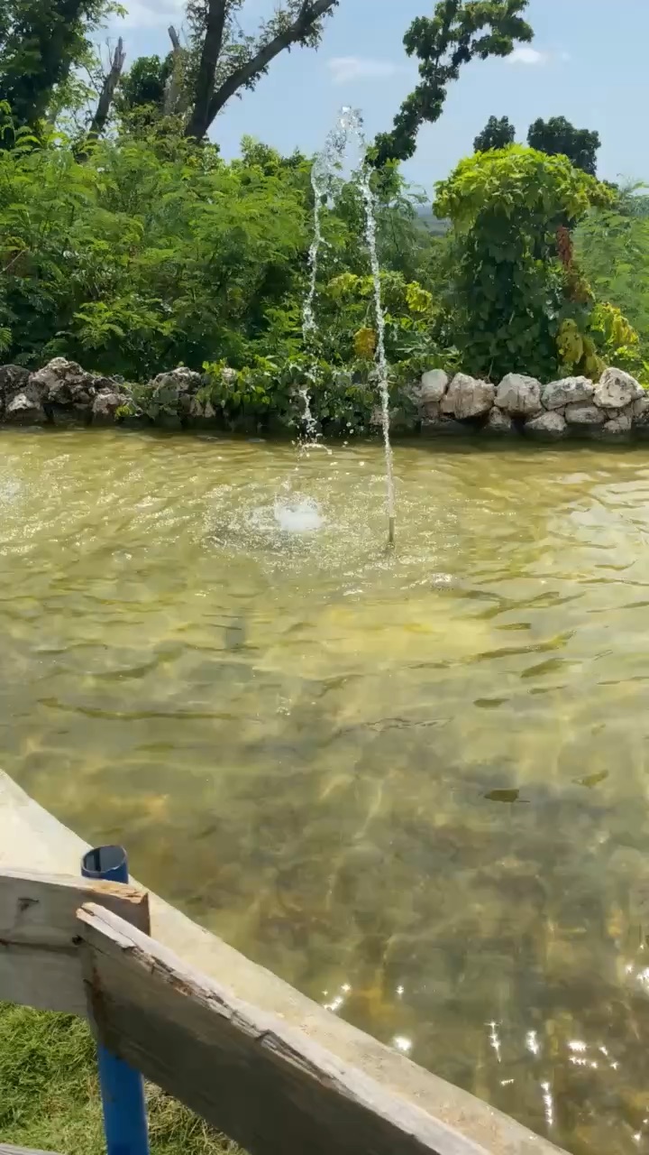 Vacation