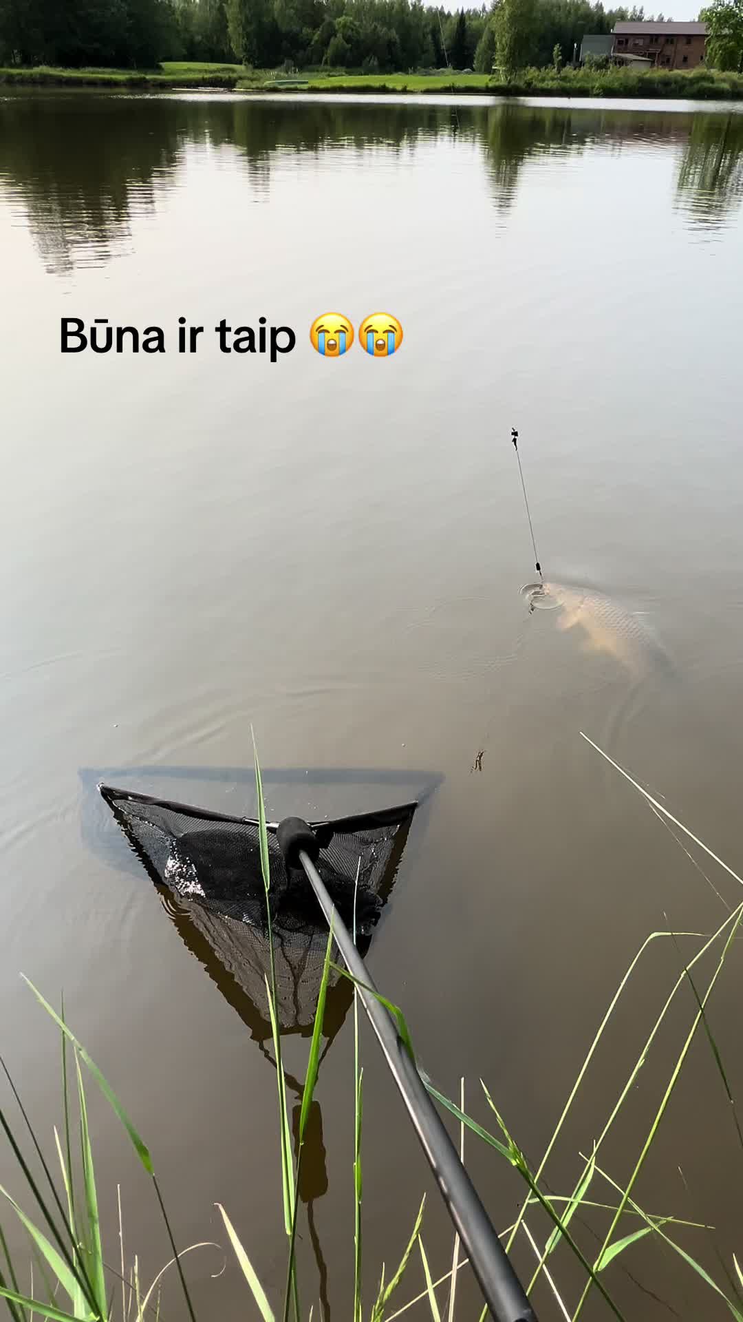 Netektis 😂 #zvejybalietuvoje #fail #karpis#cry #fishinglife @KitamGaleValo