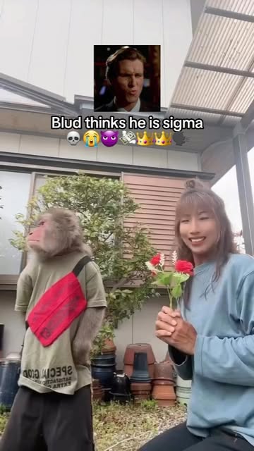 Blud is NOT Andrew Tatelawg💀😭🤡🤡‼️ . . . . . . . . . . #donpollo #animalmemes #animals #funnyanimals #monkey #monk...