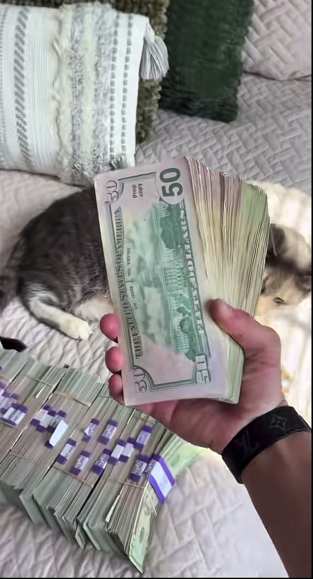 #money#fyp#viral#cattttt