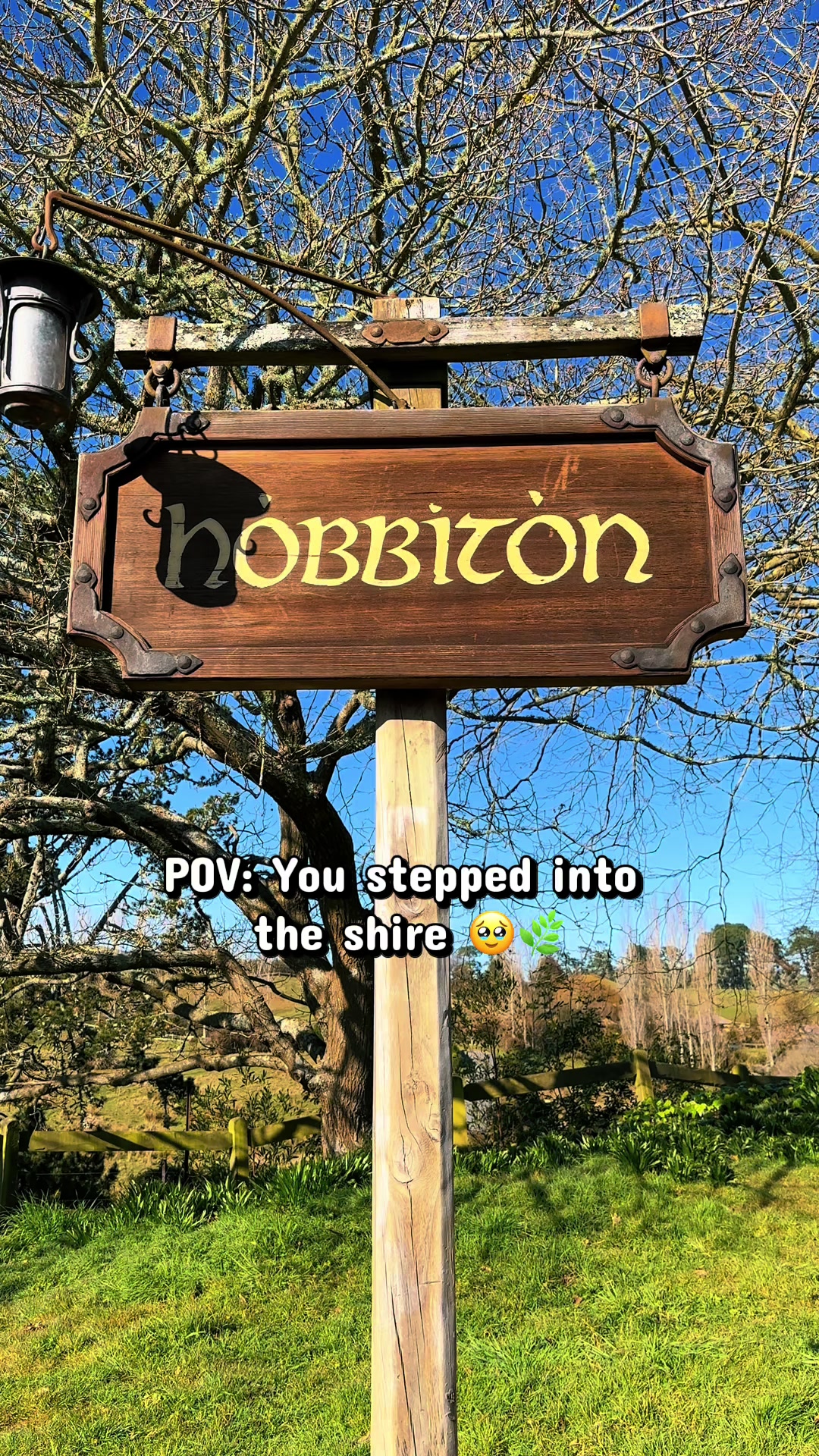One of those places I’d go back to in a heartbeat 🤍 #hobbiton #LOTR #newzealand #travel #fantasy