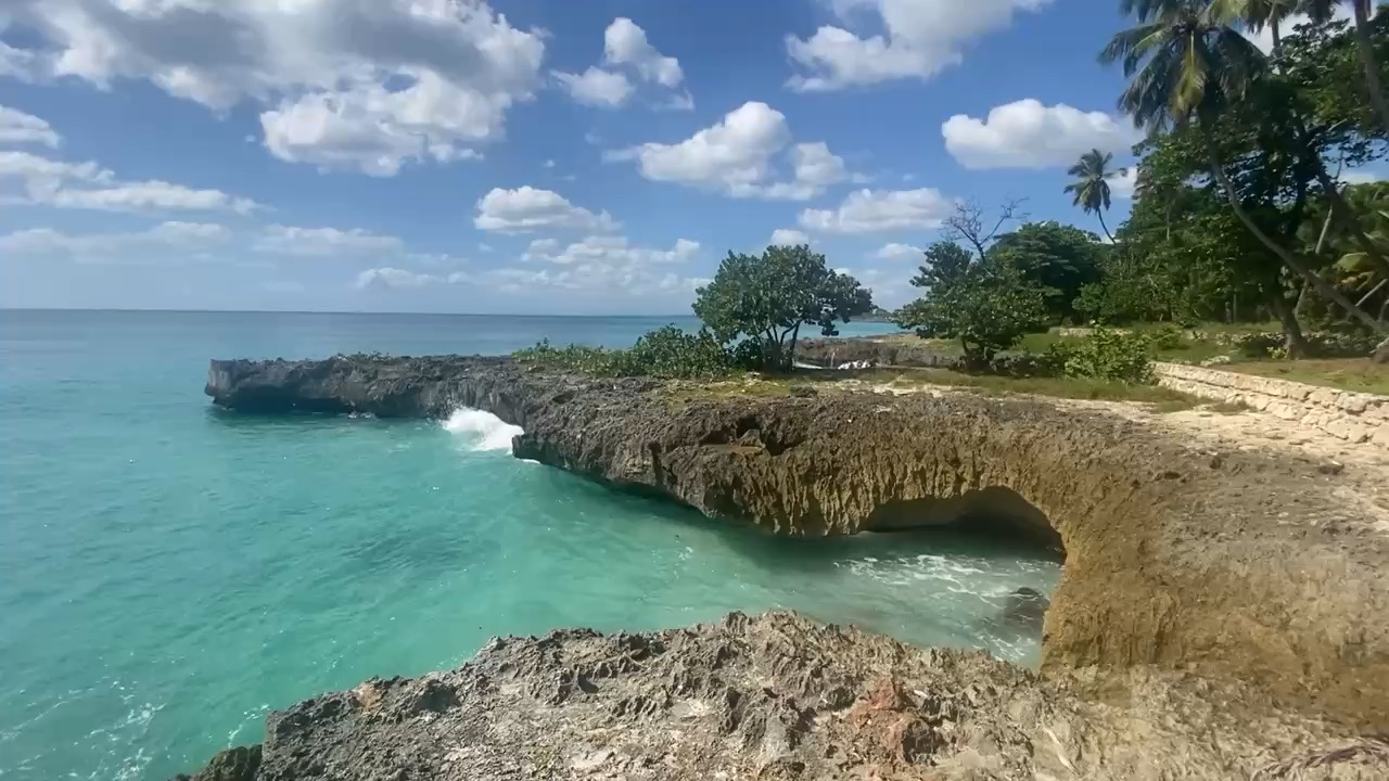 SD