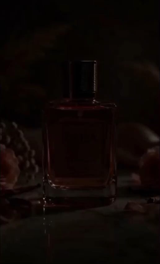 Zara Vanilla Dream