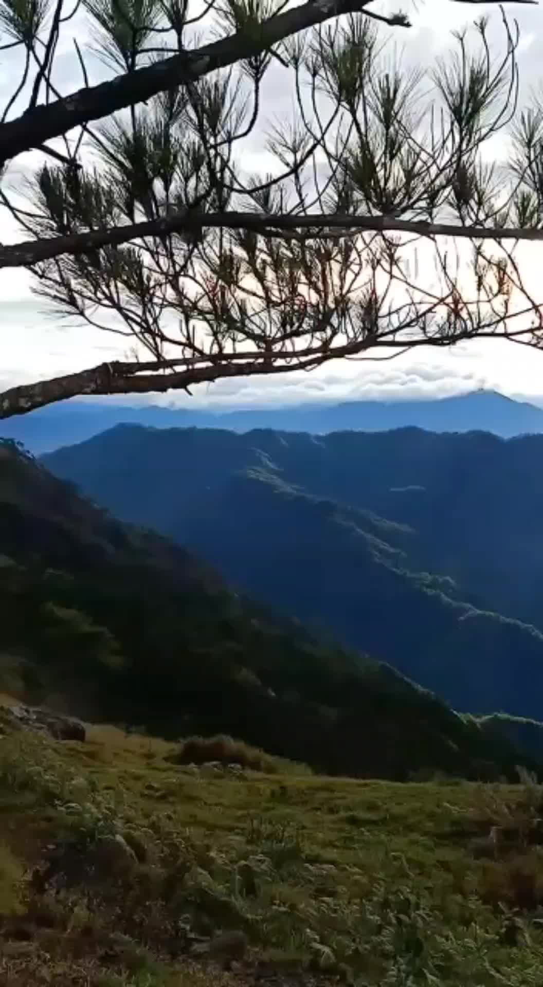 #nature #mountains #live #traveltiktok #travel