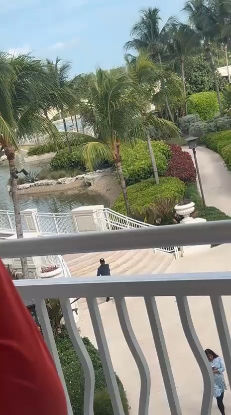 Baha mar Vacation