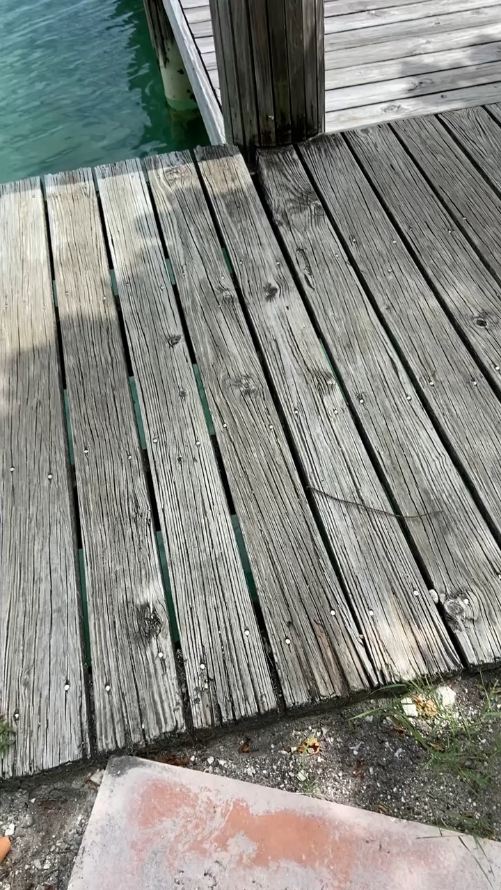 Daily walks