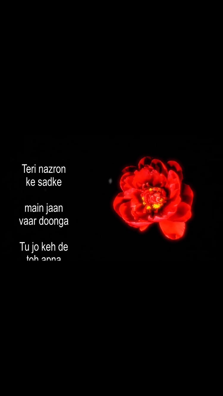 🤍🕊️ #viral -1.1B+ #reels -1.1B+ #trending - 952M+ #fyp -714M+ #explorepage - 675M+growthmindset - 18.6M+ successmin...