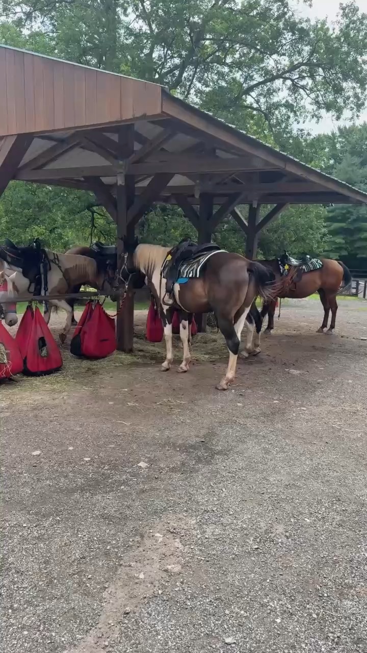 Good day to ride a horse