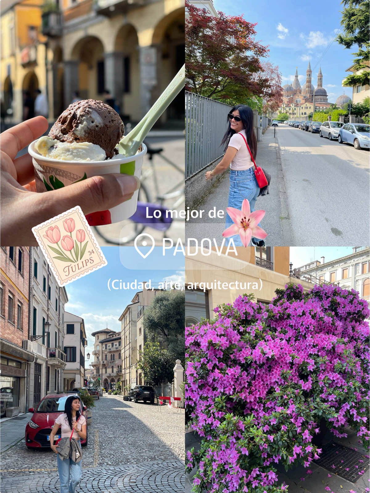 Qué hacer en Padova, Italia 📍🇮🇹 Una parada obligatoria en el Veneto que tienes que ver. 1️⃣ Prato della Valle (la...