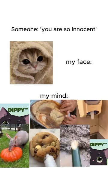 Me and my mind 😭☝️ #dippyai #characteraibot #roleplay #dippy #characterai #characteraichat #cai #booktiktok