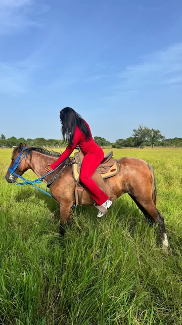 Terapia ❤️‍🩹 . . . . . #paratiiiiiiiiiiiiiiiiiiiiiiiiiiiiiii♥️ #terapia #caballos #paz