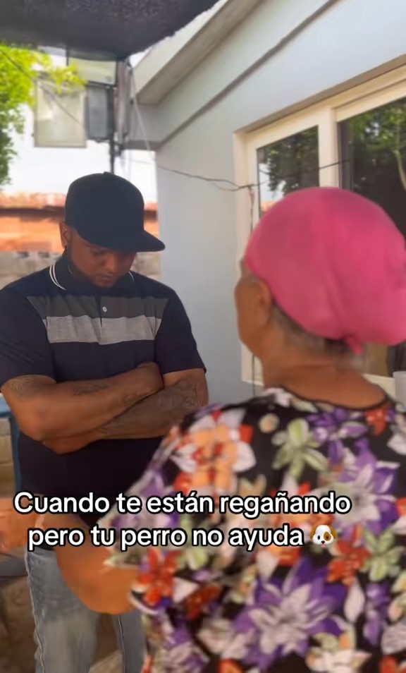 Cuando me regáñanos y el perro no colabora