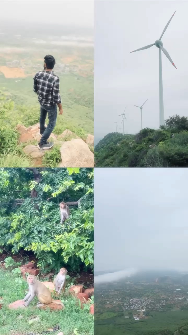 View