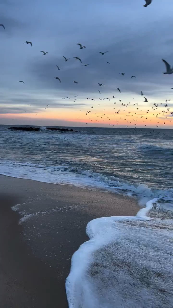 Where the Ocean Meets Beauty