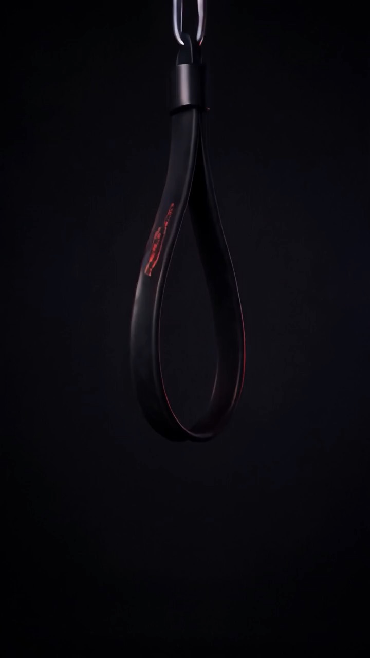 Resistance Belt