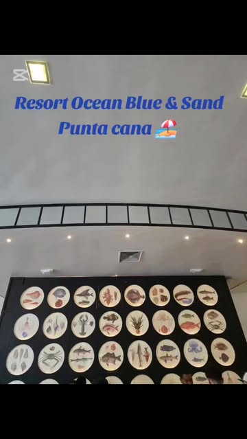 ✨ Viví una experiencia inolvidable en el Ocean Blue & Sand Resort en Punta Cana 🏝️ @ocean_hotels @oceanblueandsand #...