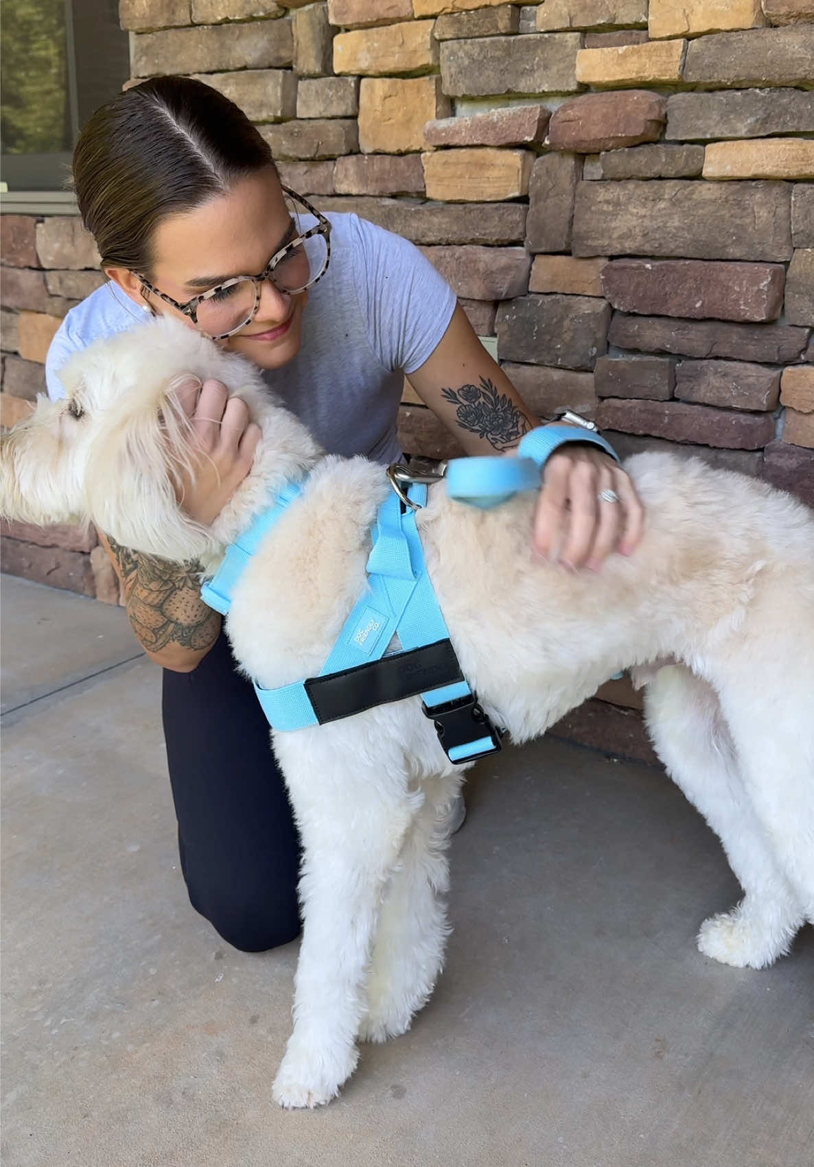 The best combo 👏🏻 @dogfriendlyco #dfcopartner
