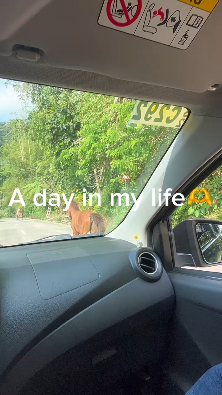 A day in my life
