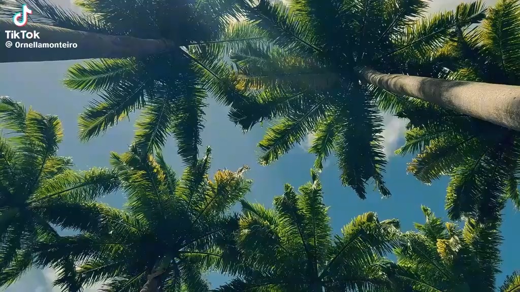 La Martinique