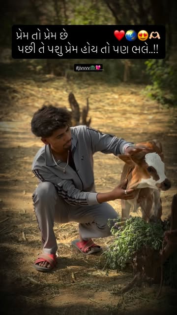 ગૌ પ્રેમી 🦚💕🫶🏻 #mahir #instagram #instadaily #gaumata #trending