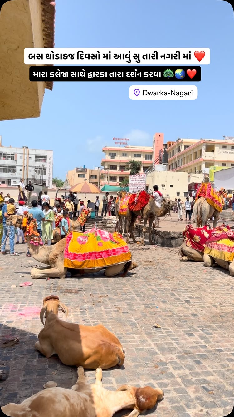 બસ તારા હુકમ ની જરૂર છે ❤️🙌🦚