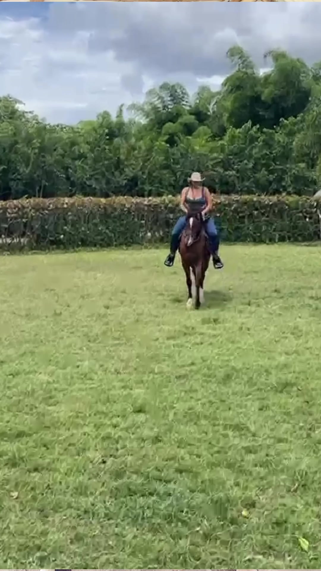 Me gustan mls caballos ✨🤠🏇 #caballo #amoloscaballo #diorky19