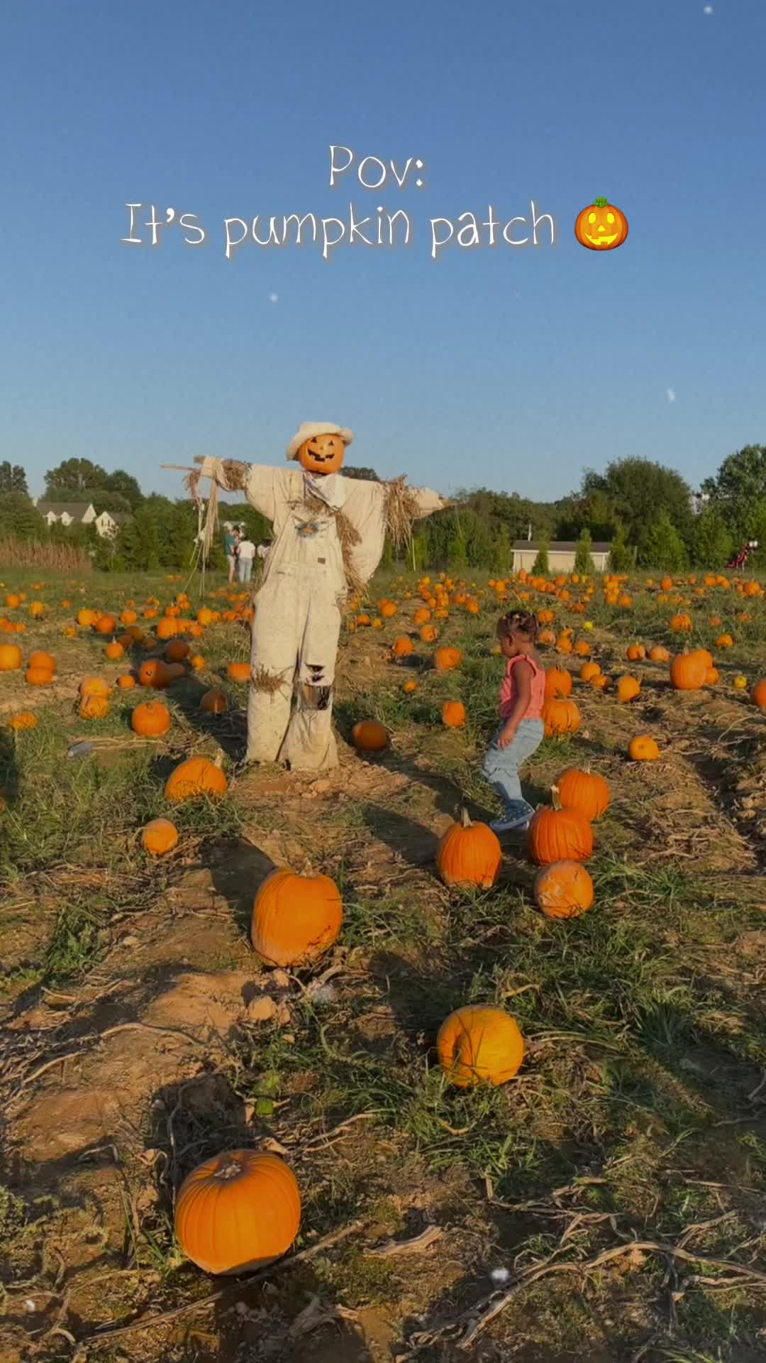 🎃🍂 #pumpkinseason #pumpkinpatch #october #pumpkin