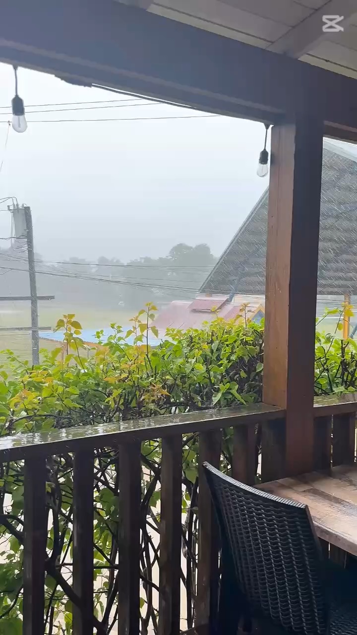 The beauty of nature