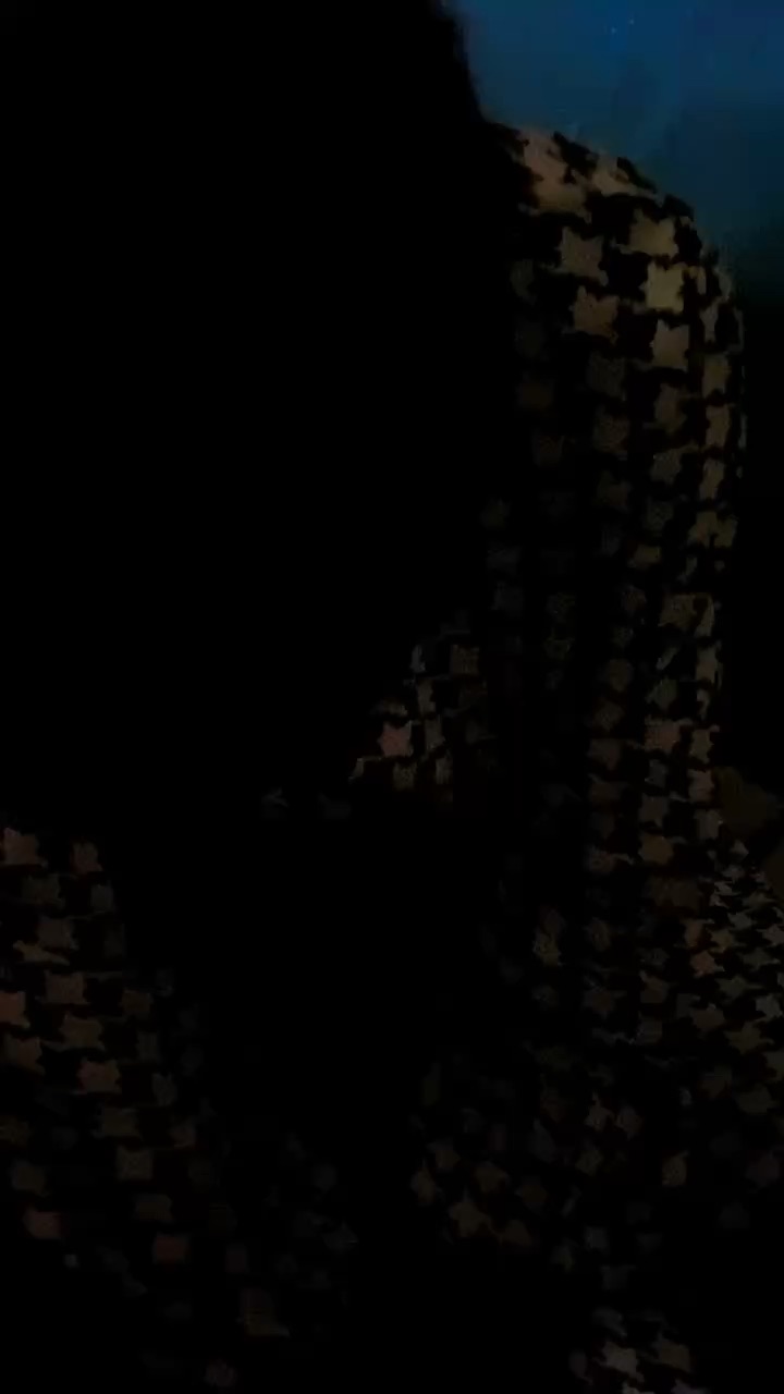 Petite vidéo
