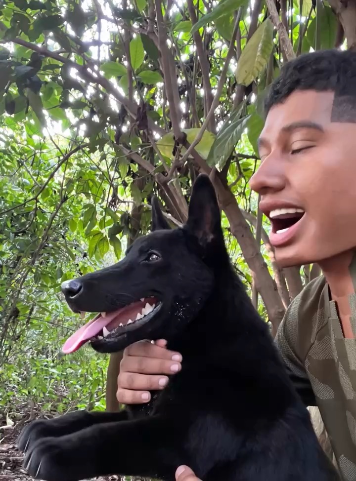 Perro Ken