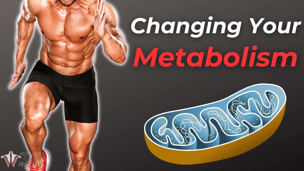 The Best Exercise For Health, Fitness, and Longevity Check out Brilliant for a free 30-day trial + 20% off for the fi...