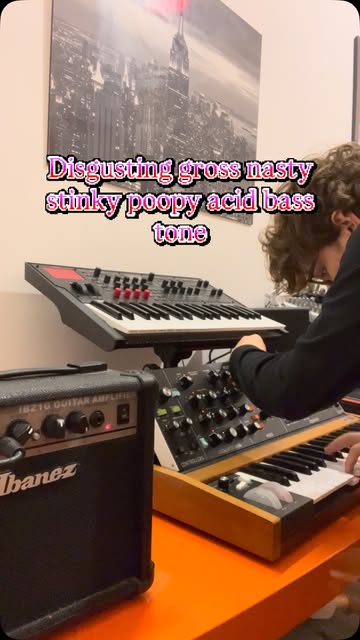 Turns out all you need to get an absolutely disgusting acid bass tone is a cheap guitar amp & a shitty Temu Fuzz Peda...