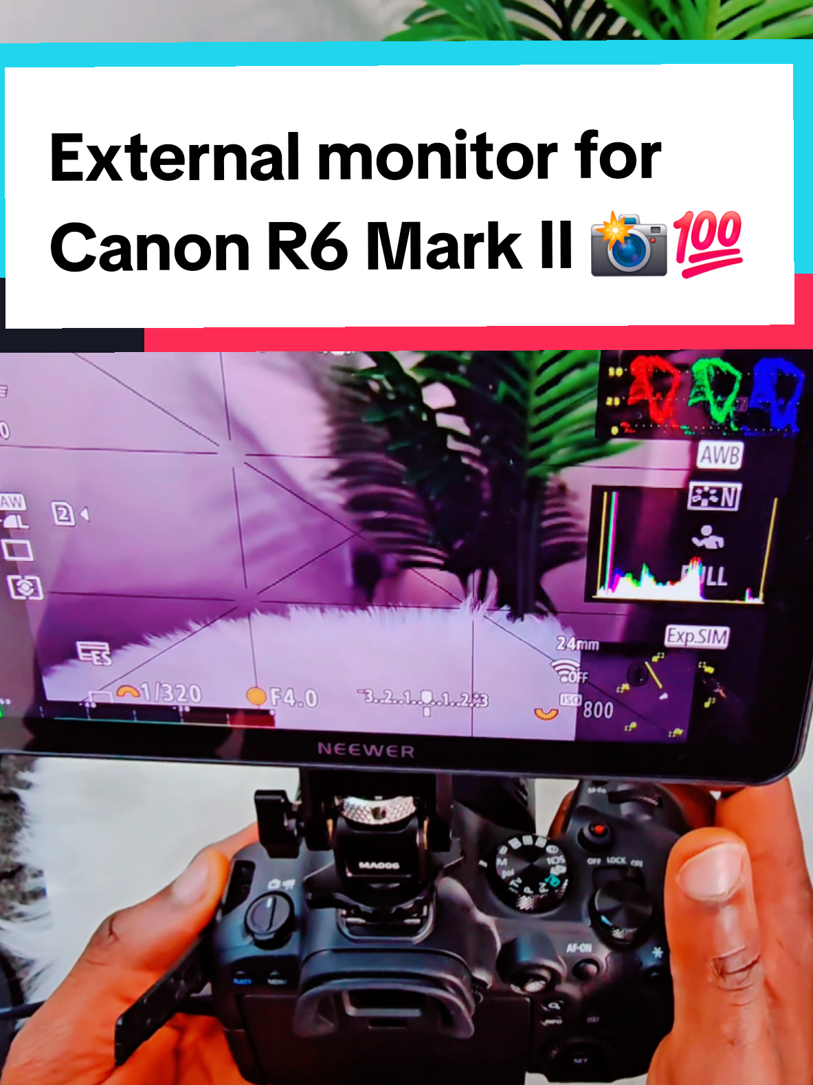 Just mounted my Neewer monitor on the Canon R6 Mark II, filming setup leveled up #CameraSetup #FilmmakerLife #NeewerG...