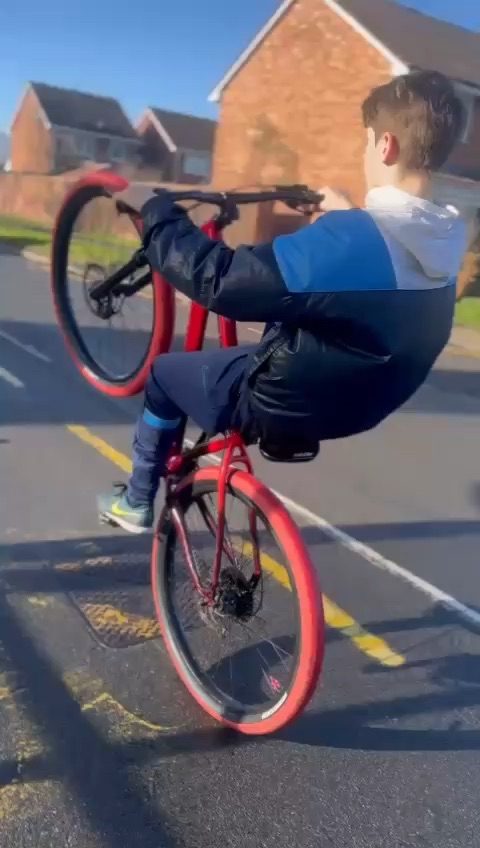 mafia wheelie bike
