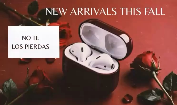 AirPods case