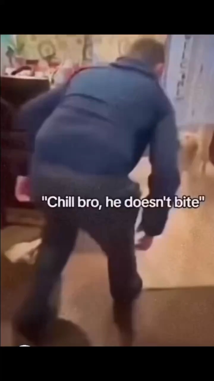 He doesn’t bite lol