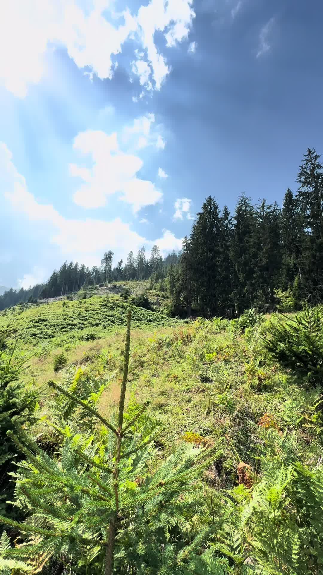 Holy spot #fy #mtb #leogang #bike