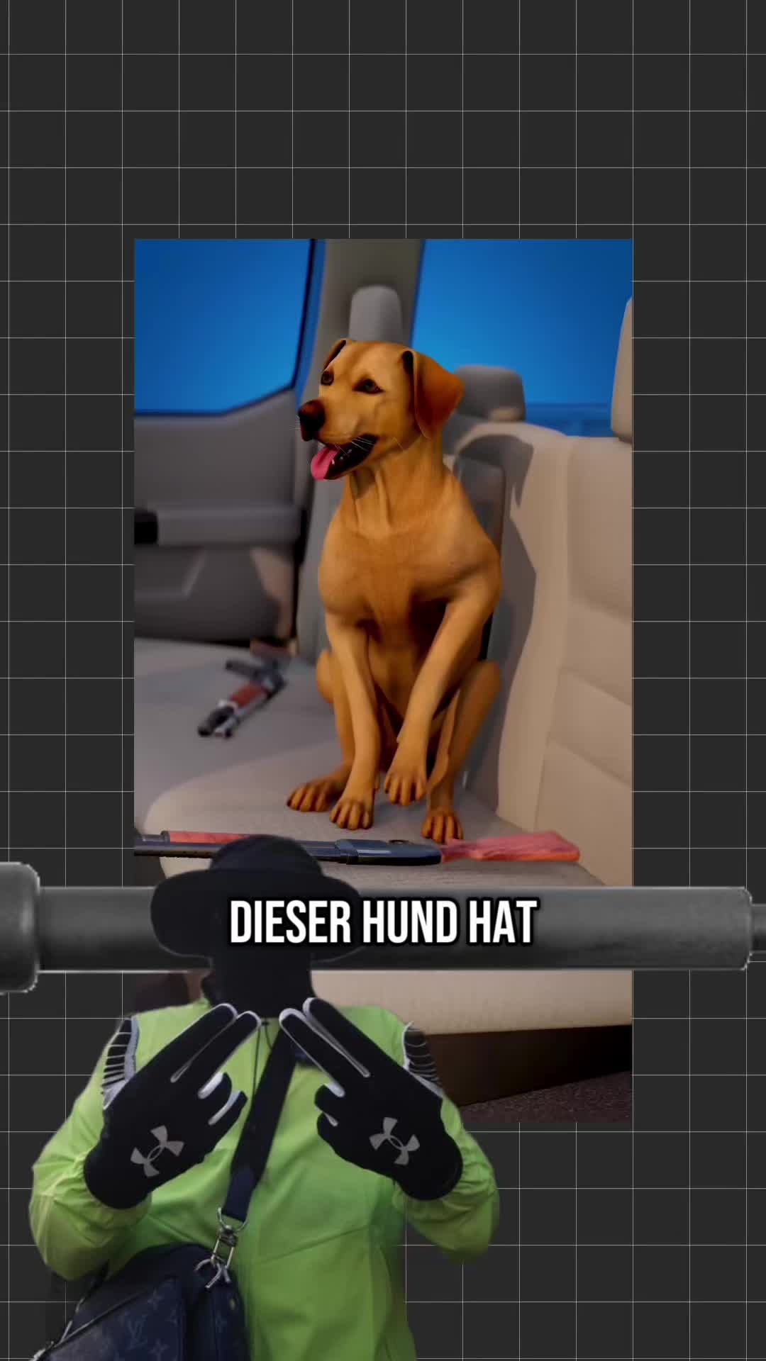 Hund gibt Besitzer einfach ein Hit mit Pumpgun #nordreinwestfalen #deutschland #nrw #erklärt #tmm #akh #de