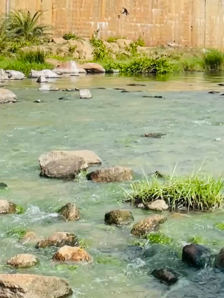 Water fall