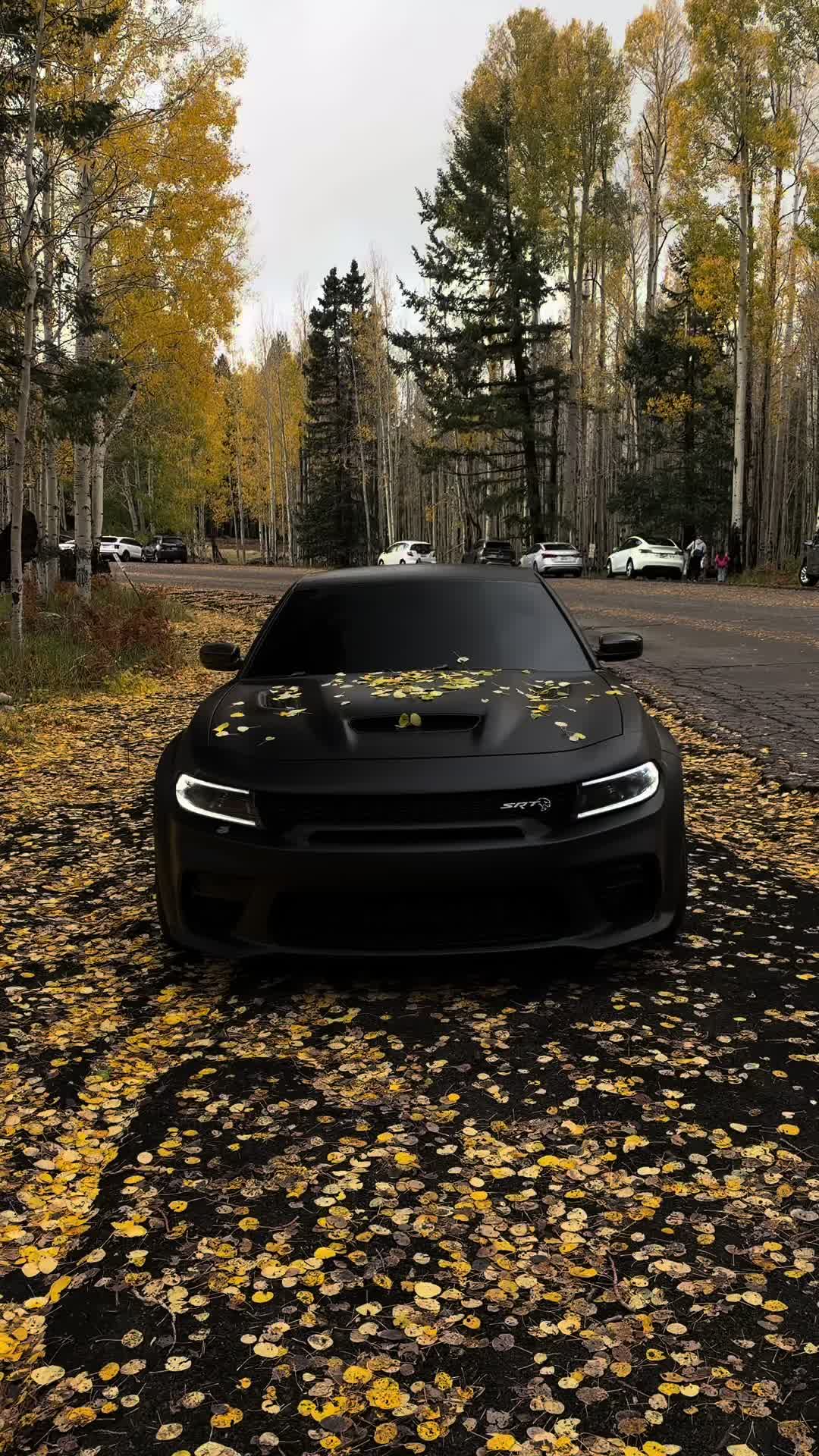 #hellcat #fyp #viral #carsoftiktok #srt