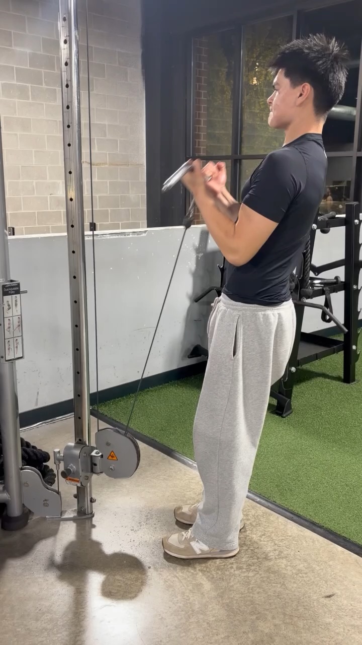 Bicep Curls