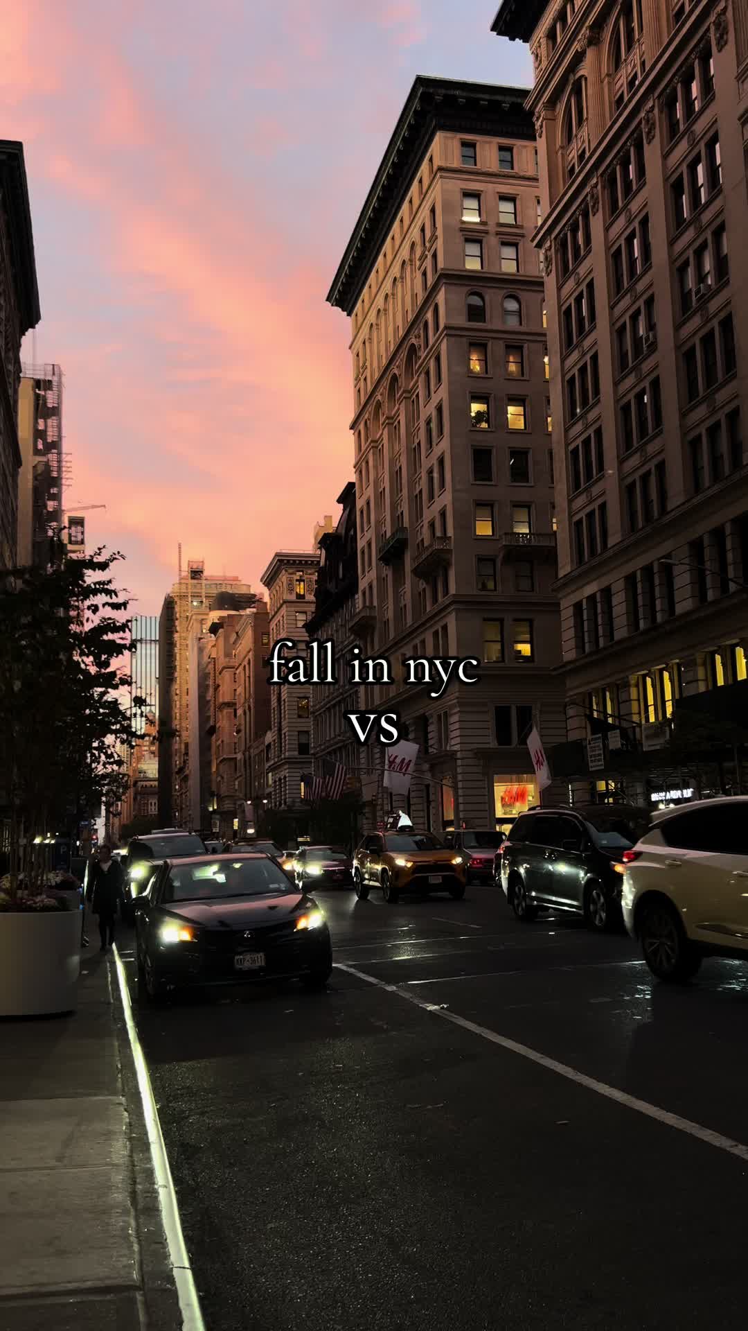 best of both worlds 🍁🧡✨ • • • • • • • #nyc #newyorkcity #nycfall #slc #saltlakecity #fall #nature #utah