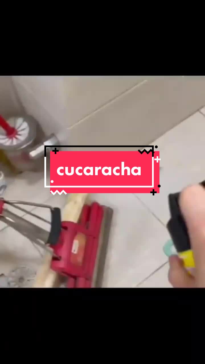 cucaracha #insecticida #humor #tiktokviral #cosasdecasa #cucarachas