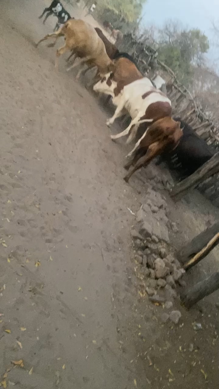 Agriculture can make you happy