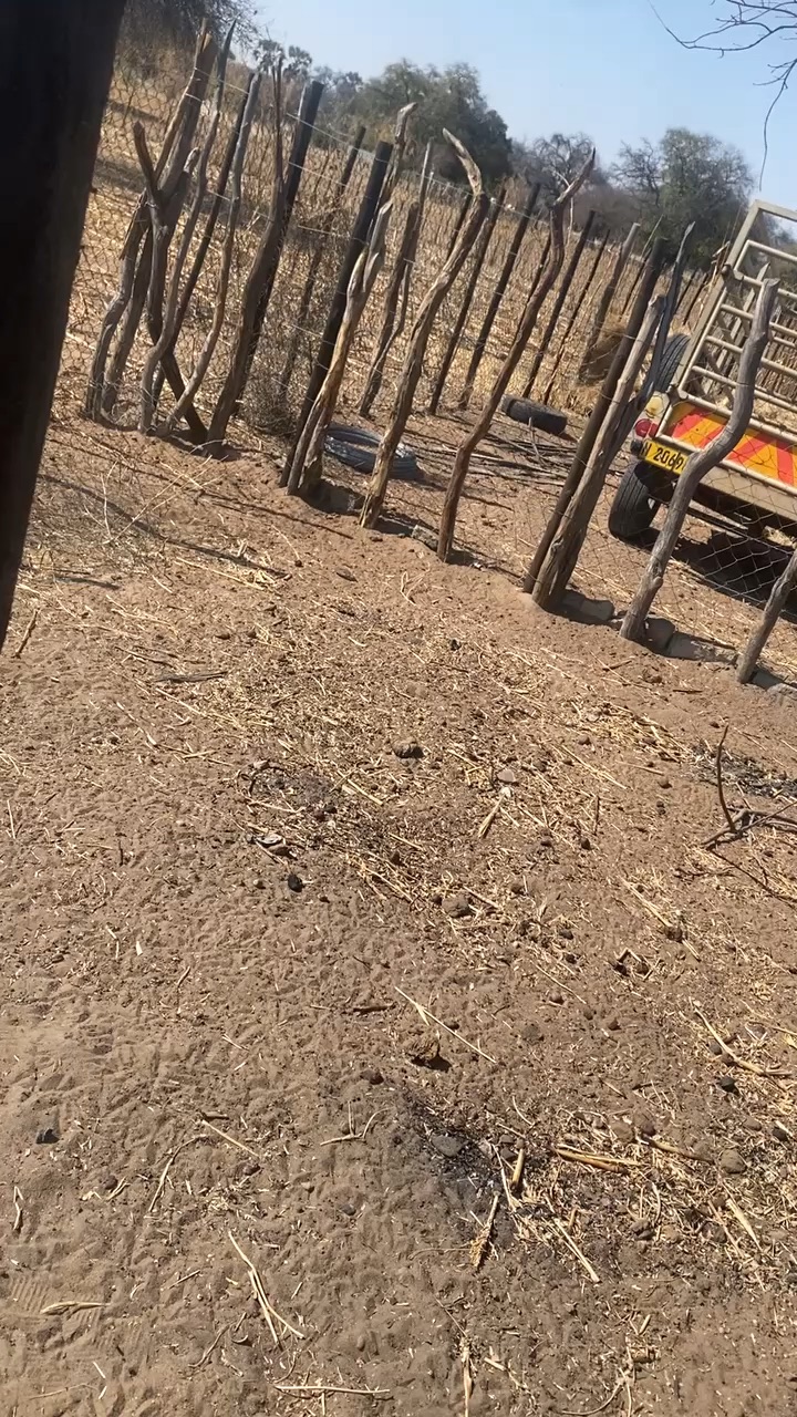 Impossible flips