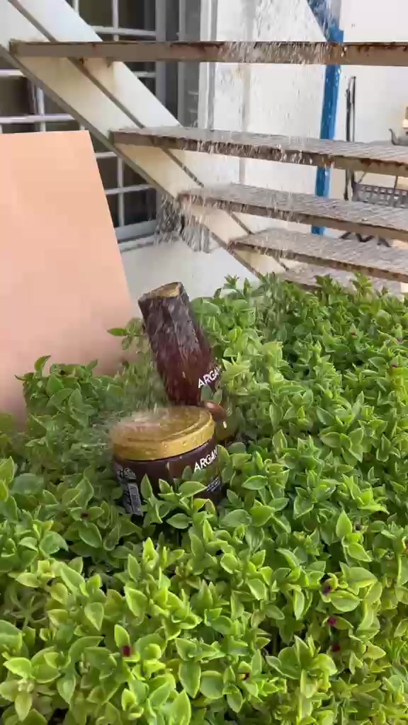 Inventando Hando 😂😂😂👏👏👏❤️‍🩹🌺💕🥰#todo #bueno #cuidado #TikTokMeHizoComprar
