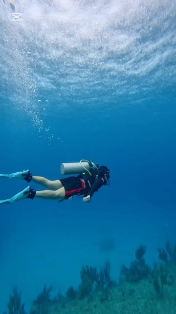 Living under the sea ♓️ 🐉