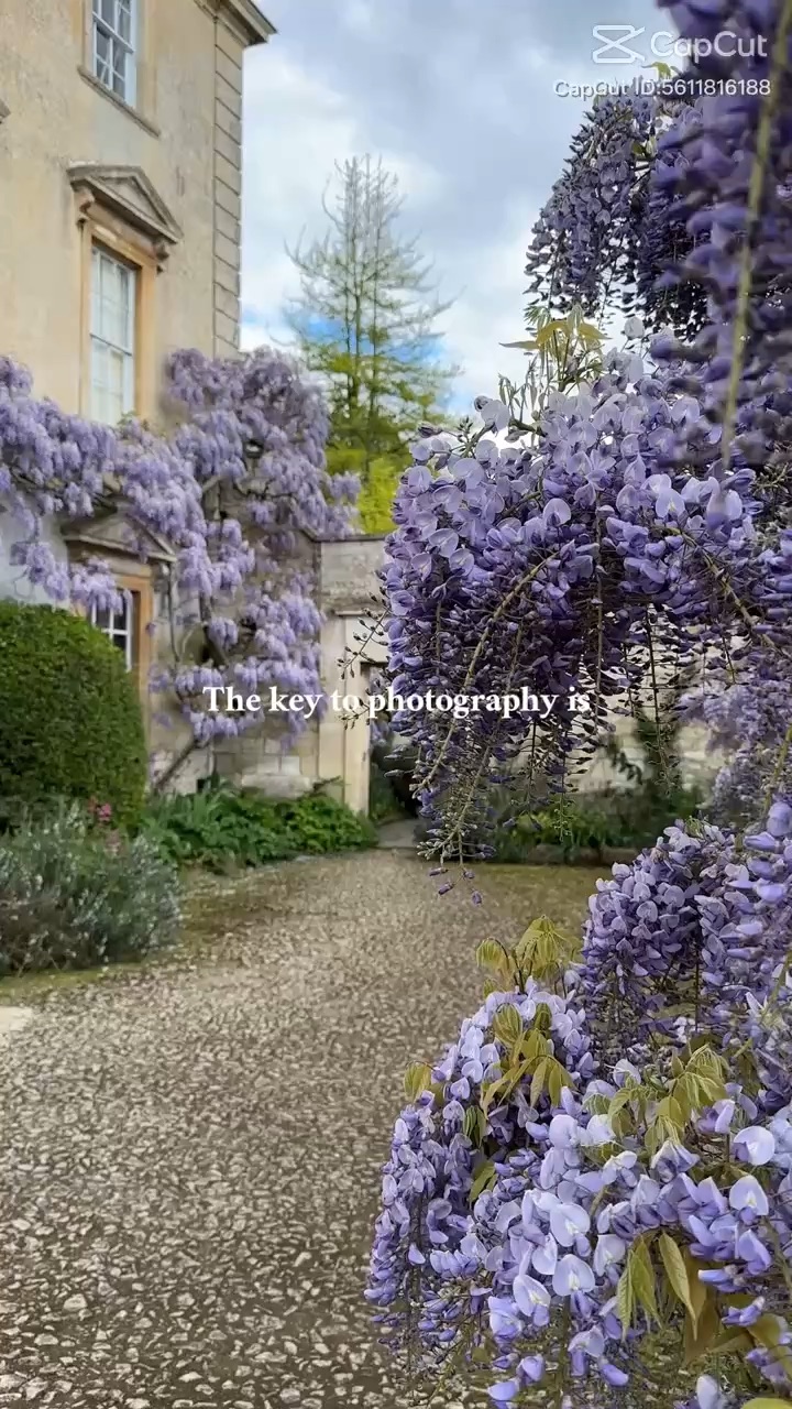 The key to photography is……